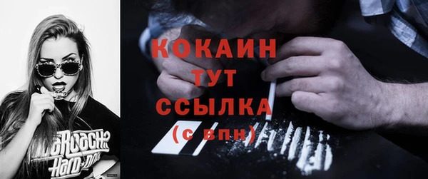 крисы Абаза