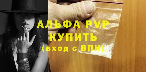 крисы Абаза
