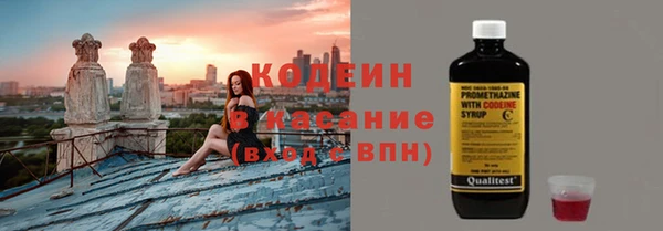 крисы Абаза