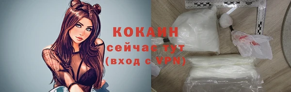 крисы Абаза