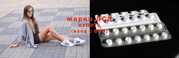 крисы Абаза