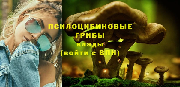крисы Абаза