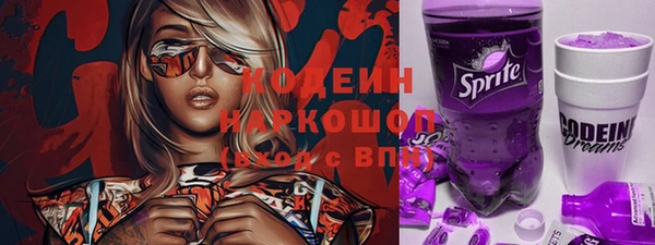 крисы Абаза