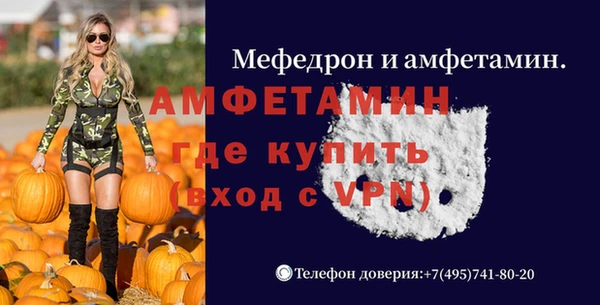 крисы Абаза
