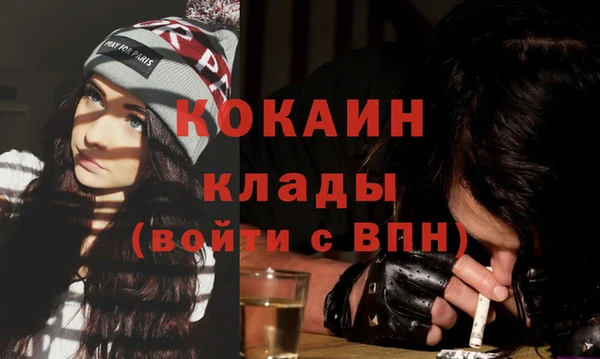 крисы Абаза