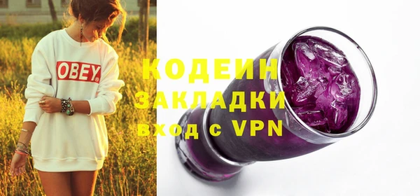 крисы Абаза