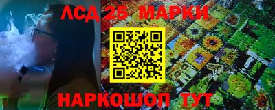 гидропоника Краснодар