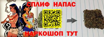 стафф Новоалександровск