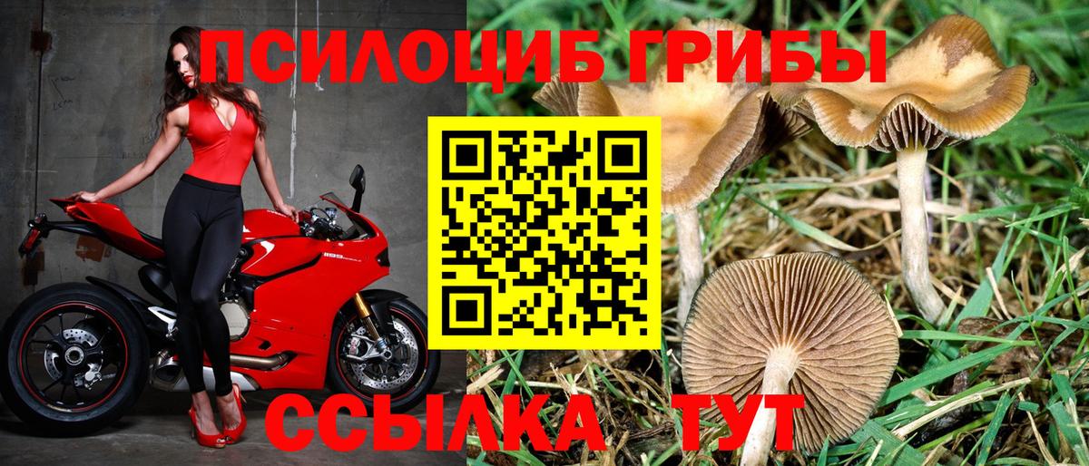 Псилоцибиновые грибы мухоморы  Псилоцибиновые грибы мицелий  Фрязино  Вход с VPN 