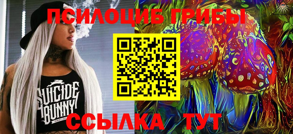 Каннабис  Alpha PVP СОЛЬ   ГАШ  Фрязино  КОКАИН  Гашиш  МДМА  NBOMe  Вход с VPN  МЕФ кристаллы 